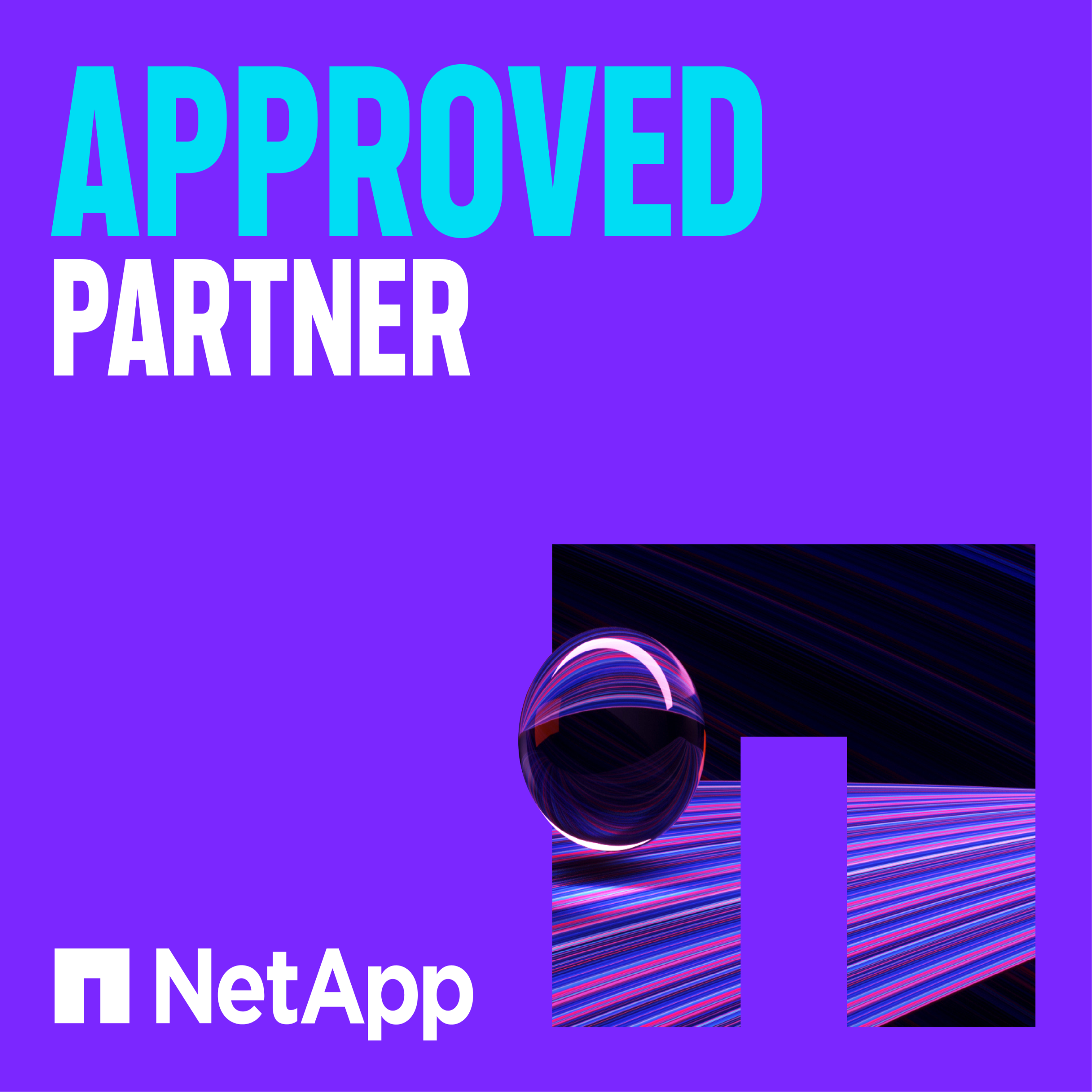 NetApp Partner